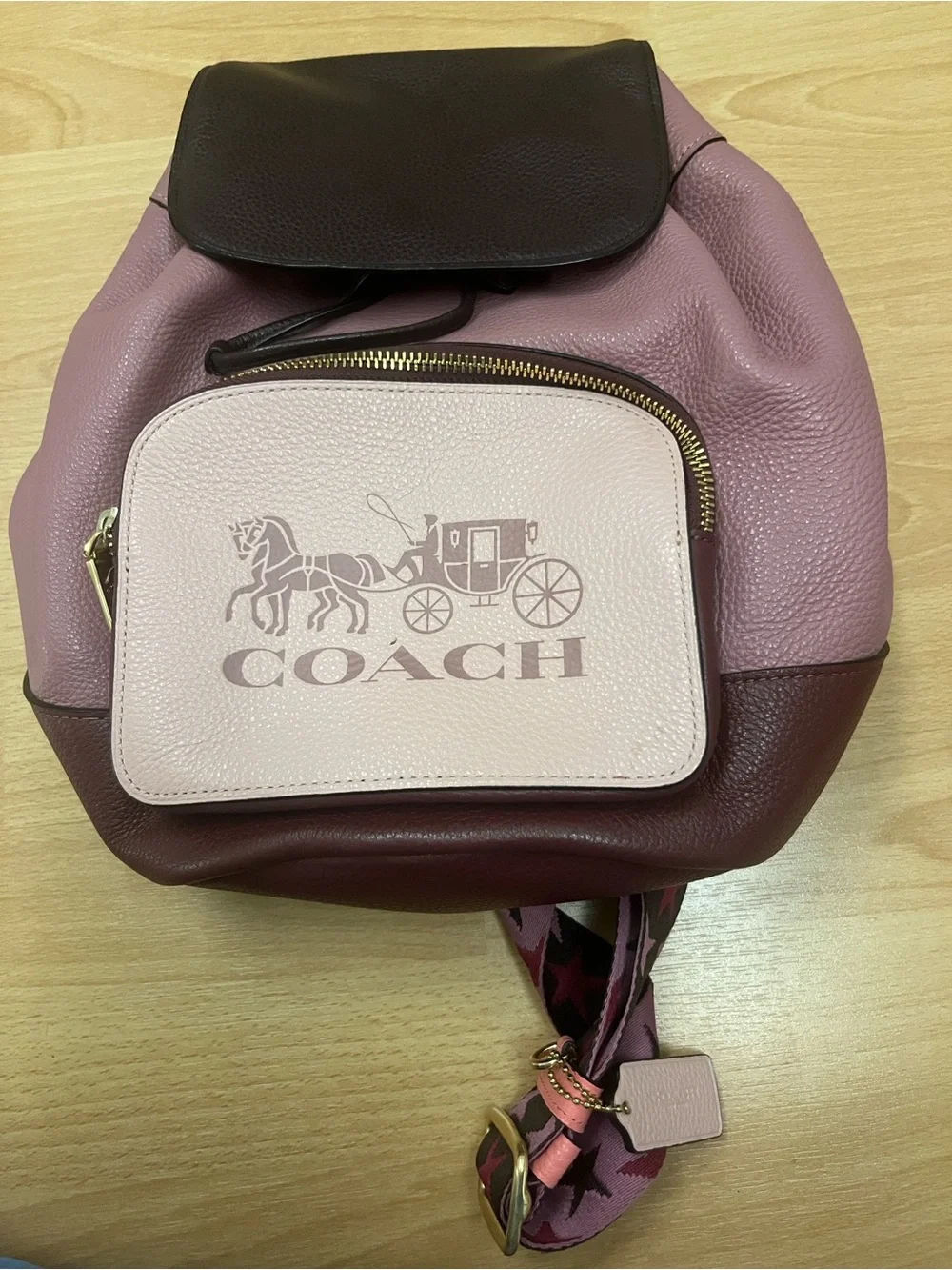COACH Pink Leather Colorblock Backpack with Logo Pocket